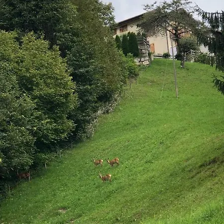 Casa Di Ronchi Lodge